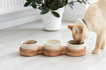 Elevated cat bowls, cat bowls with stand, raised cat bowls, Cat bowls, cat food bowls, kitten bowl, ceramic cat bowls, best cat bowls