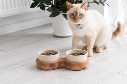 Raised cat bowls, Elevated cat bowls, Cat bowls, elevated cat dish, cat bowls with stand, ceramic cat bowls, elevated cat bowls ceramic