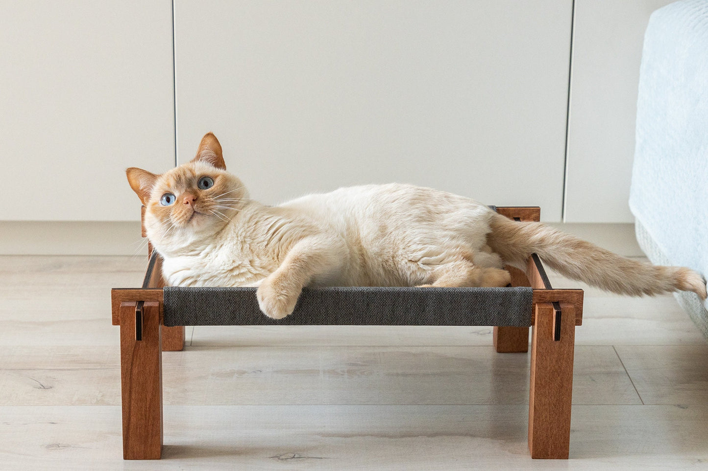 Cat house, cat furniture, cat swing, modern cat furniture, cat hammock, cat bed, cat hammock stand, cat hammock bed, cat couch